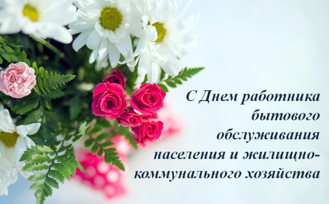 17  -       