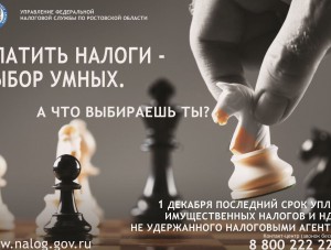 Срок уплаты имущественных налогов 1 декабря