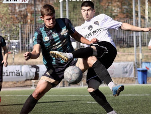       VAN EAGLES