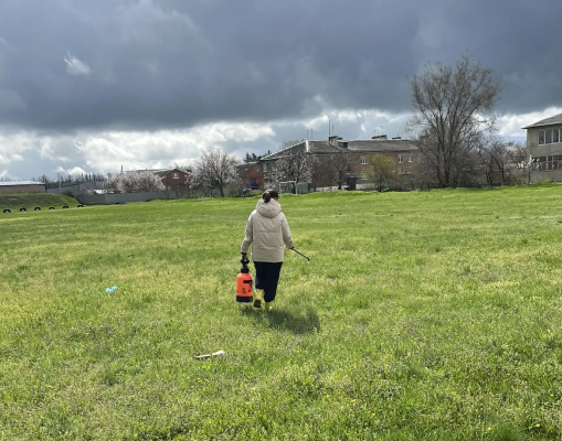 � ���������� ������������ ������ ������� ��������������� ���������