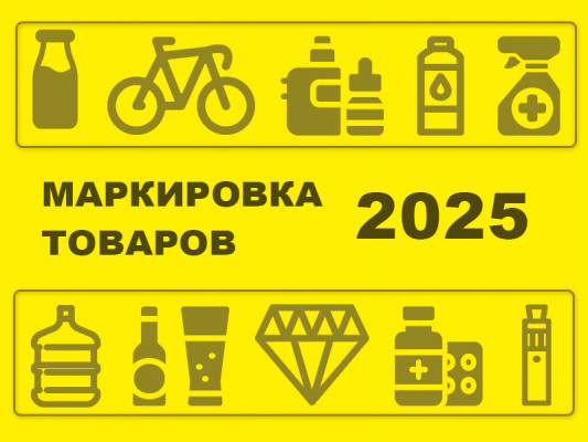     :    2025 