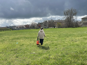 � ���������� ������������ ������ ������� ��������������� ���������