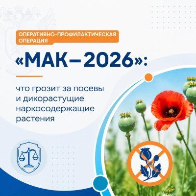 ����������-���������������� �������� ���� � 2026�