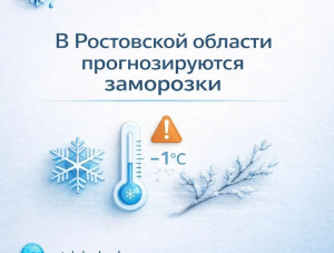 � ���������� ������� �������������� ���������