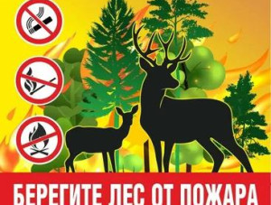 ������ ������� ��� �� ������!