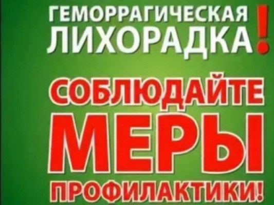    "  "