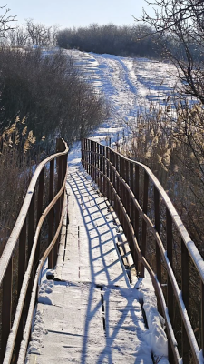 ������� ������ �� ������� ��������� ���������� ������� � ������������� ���������