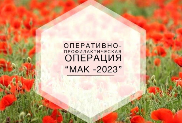  -  -2023  