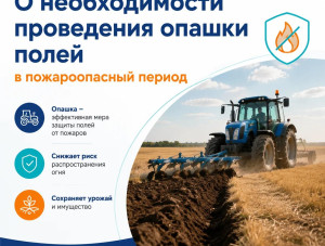 ������ �����: ������ ������ � �����