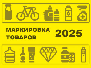     :    2025 