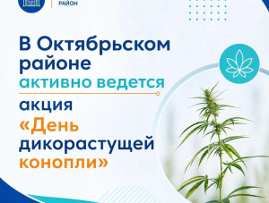 � ����������� ������ ���� ����� ����� ������������ �������