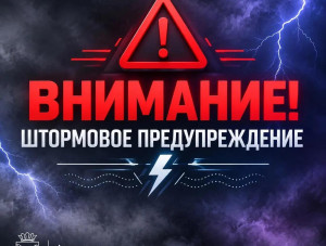 ��������� �������������� �� 15 ��������