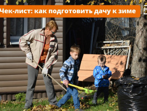 ���-����: ��� ����������� ���� � ����