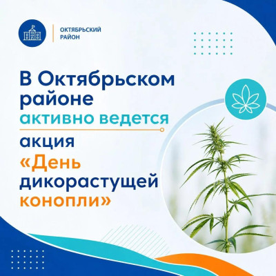 � ����������� ������ ���� ����� ����� ������������ �������