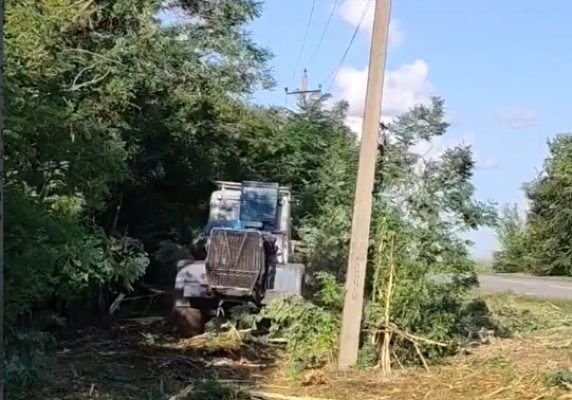 ������������ � ����� �������� ����������������