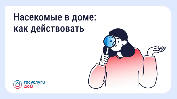 ������ � ���������� � ��������������� ����