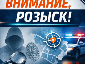 ���������� ������� ����������� ��������������