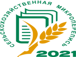 �������������������� ������������� 2021 ����