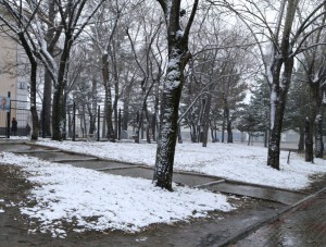 �� ��������� ������