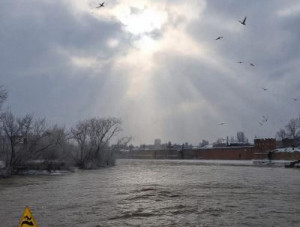 ������� ������ �� ���������� �������