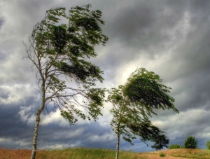 ��������� �������� �����