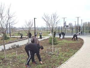 ��������� �������� � ������� ���� � ����������������