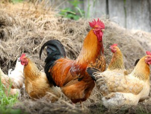 ���� �� �������������� ������ � ��������������� ������ ����