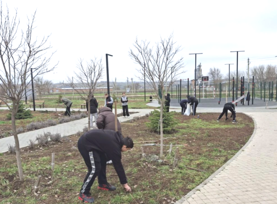 ��������� �������� � ������� ���� � ����������������