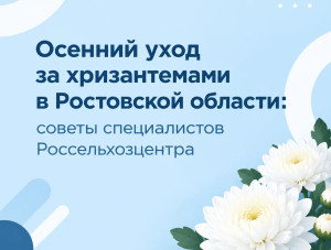 ��� ��������� ���������� �� ���������� ������