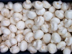 � ������ ������ ��������� ������ ����������������