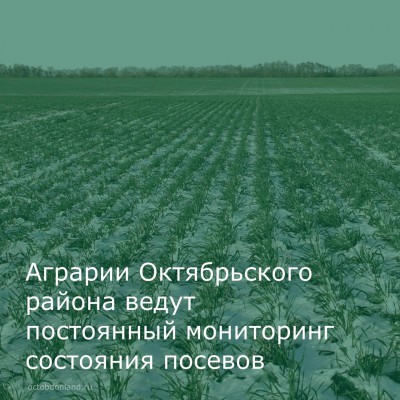 ������� ������ ����� ���������� ���������� ��������� �������