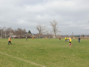 ��������� ������������ �� �������