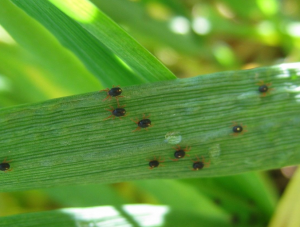 �������� ������������� � ������������� ������ � ������ �������� ������