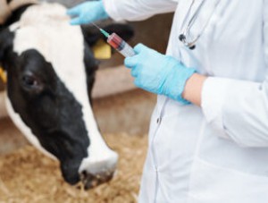 ��� ������ ����?