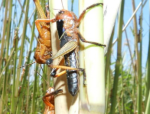 ������� ���� ���������� ����������