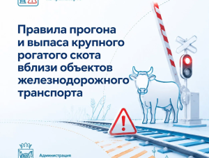 ������� ������� � ������ �������� �������� �����