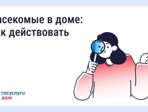 ������ � ���������� � ��������������� ����