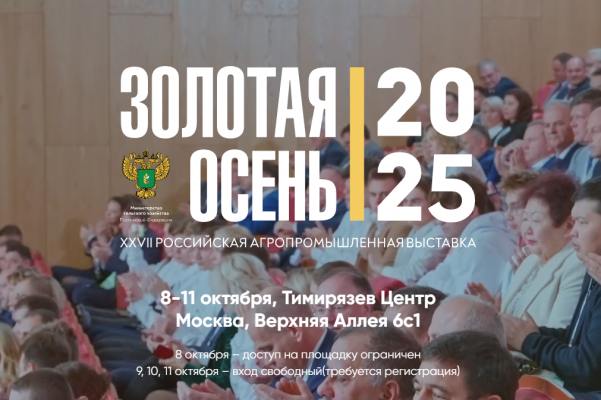 ������������� ������ ��������� ������� � �������� �����-2025�