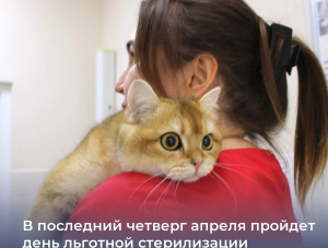 ��������� ����� �� �������� ������������ �������� ��������