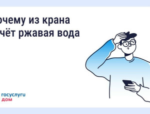 ������ ���� �� �����: ��� ������ � ���� ����������