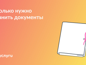���������, ������� ������ �����������: ��������� �������� � ����� ��������