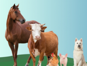 ��������� - ����������� ������!