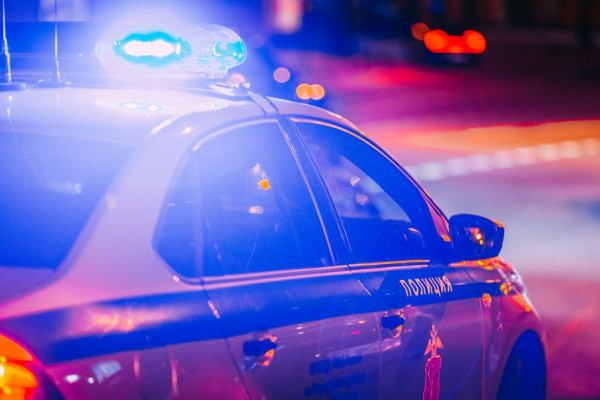 ����� �������� ���������������� ����������� �����������