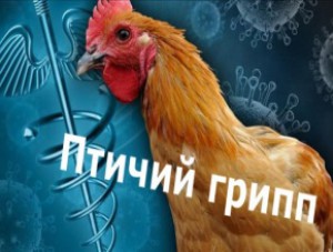 ���� �� �������������� ������ � ��������������� ������ ����