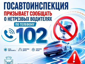 ���������������� ��������� �������� � ��������� ��������� �� �������� 102