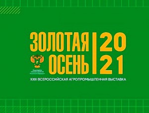 ������ ������ ���������������� �������� �������� ����� � 2021�