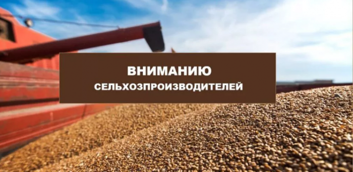 ��������������� ���������� ������� � 2024 ����