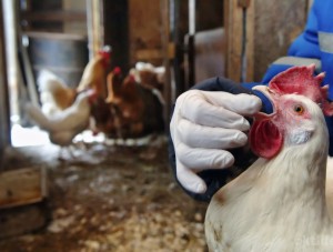 ���� ��� �������������� ��������������� ������ ����