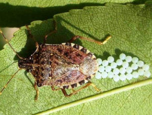 �� ���������� ����������� �����!