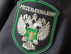 ���������������� �����������